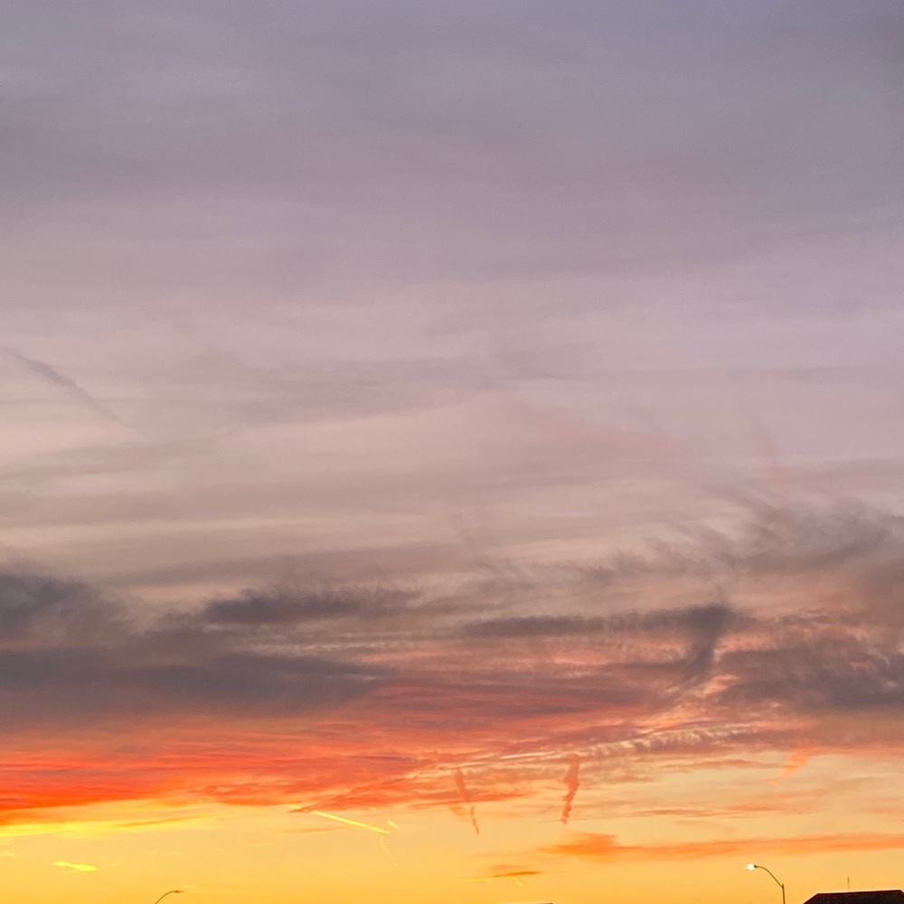 Meet your Posher, Mable